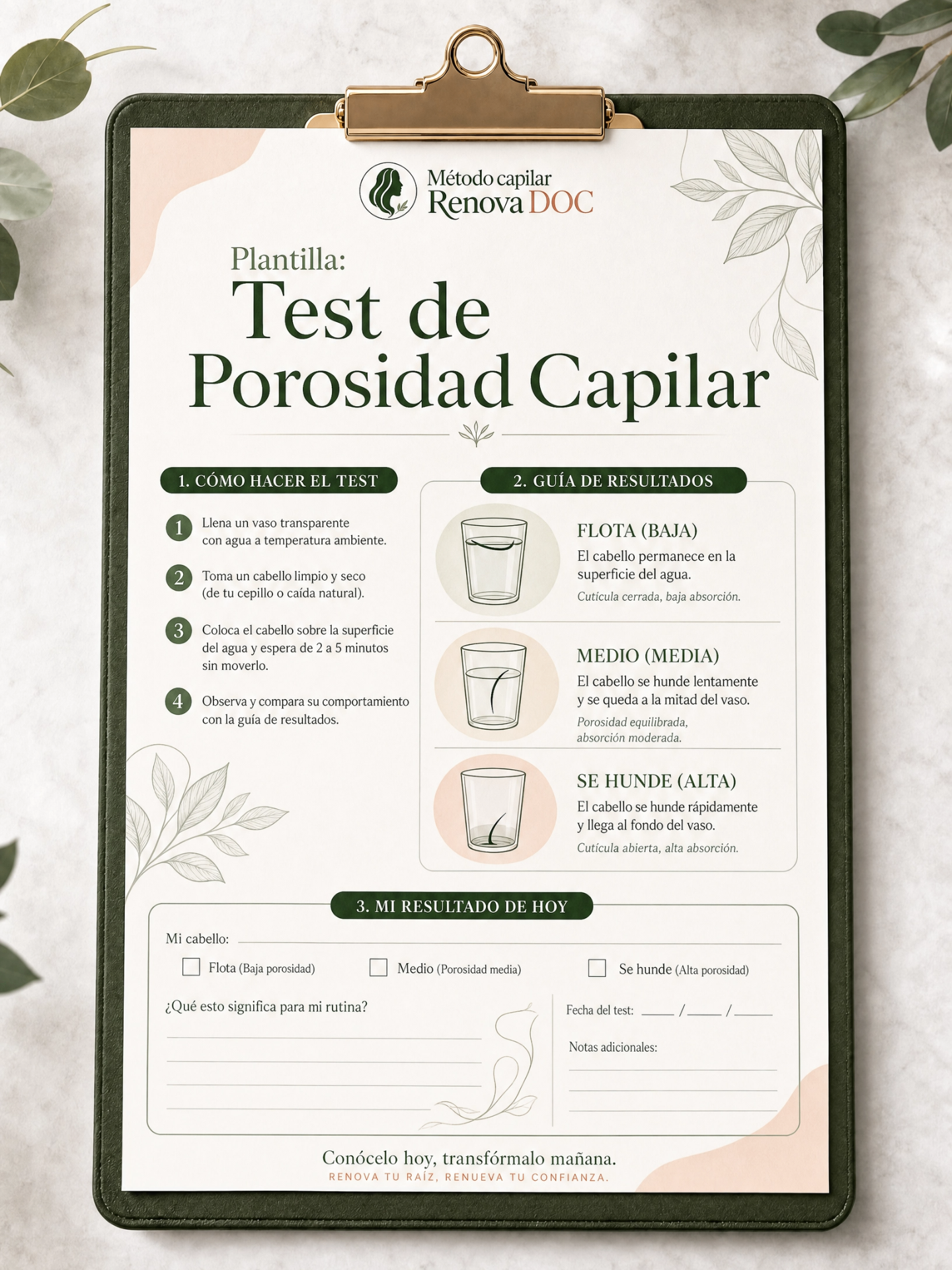 Plantilla test de porosidad capilar